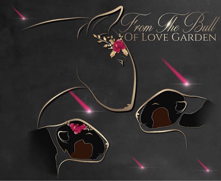 From The Bull Of Love Garden